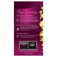 Bảng màu Napro 1.00 Đen