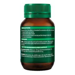 Thompson's One-A-Day Bilberry 12000mg 60 viên nang