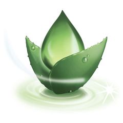 Gel cạo râu Gillette Venus Satin Care cho da nhạy cảm 195g