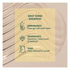 Dầu gội Akin Daily Shine 375ml