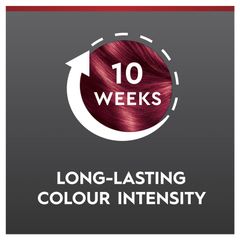 Schwarzkopf Brilliance L43 Smouldering Red Mới