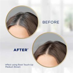 Xịt che khuyết điểm chân tóc Clairol Nice & Easy Root Touch Up màu đen