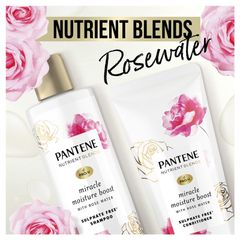 Dầu xả Pantene Nutrient Blends Moisture Boost 500ml