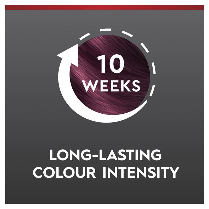 Schwarzkopf Brilliance 23 Burgundy Chic Mới