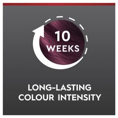 Schwarzkopf Brilliance 23 Burgundy Chic Mới