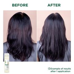 Dầu Gội Khô Klorane Với Yến Mạch & Ceramide Cho Tóc Tối Màu 150ml