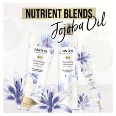 Dầu gội Pantene Nutrient Blends Colour Care 500ml