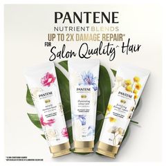 Dầu xả Pantene Pro V Nutrient Blends Miracle Moisture Boost 250 ml
