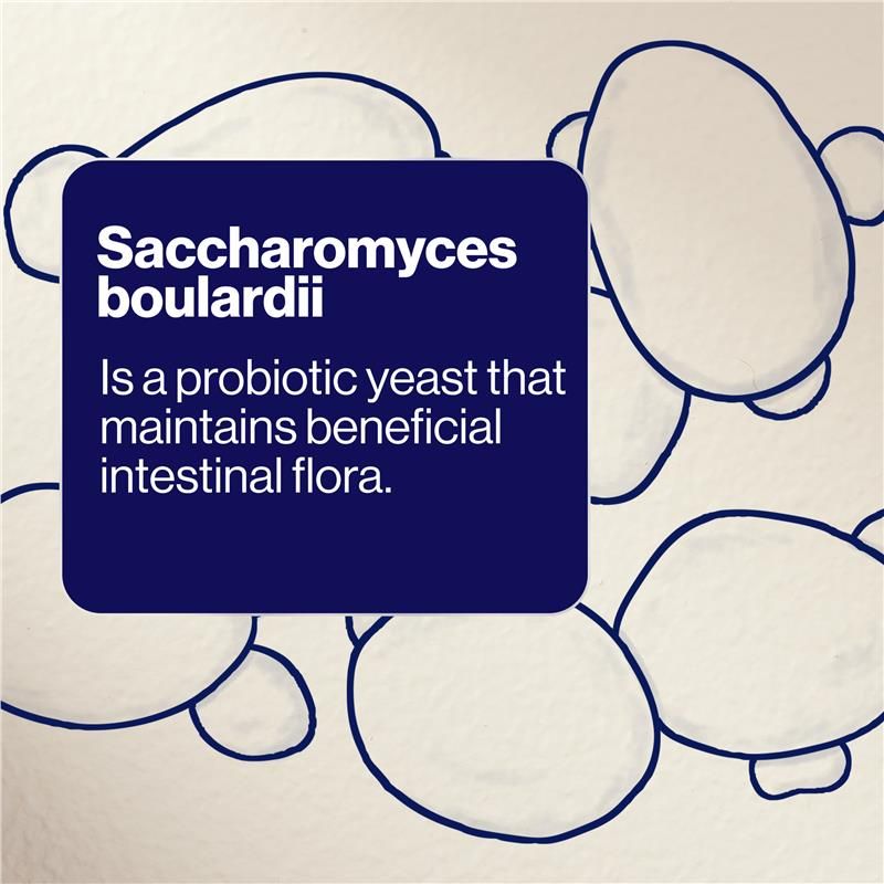 BioCeuticals SB Floractiv 60 Viên Nang