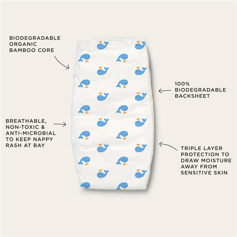 Tã Tooshies Eco làm từ tre hữu cơ cỡ 3 cho trẻ từ 6-11kg, gói 22 chiếc, chỉ bán trực tuyến