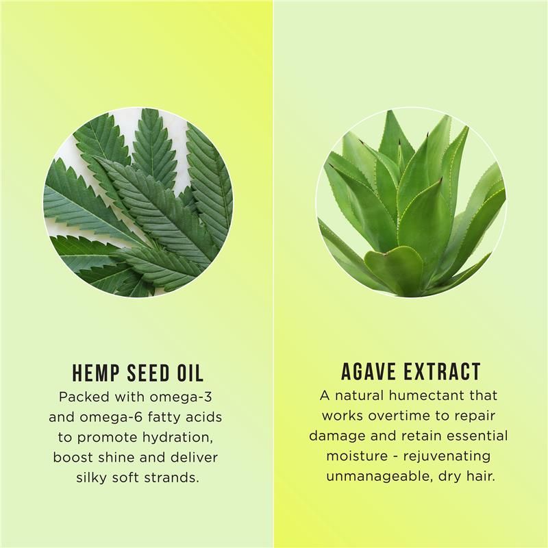 Dầu xả dưỡng ẩm Hask Hemp Oil 355ml Chỉ bán trực tuyến