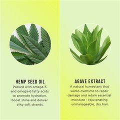 Dầu xả dưỡng ẩm Hask Hemp Oil 355ml Chỉ bán trực tuyến