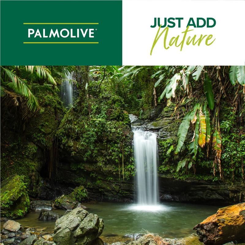 Dầu xả dưỡng tóc Palmolive Naturals Vibrant Colour Treated hương lựu và bơ 350mL