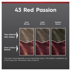 Schwarzkopf Brilliance 43 Red Passion Mới