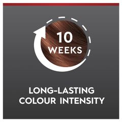Schwarzkopf Brilliance 68 Chocolate Rush Mới