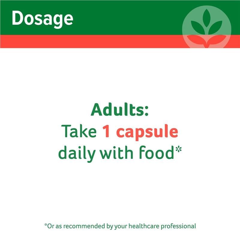 Cenovis Nghệ 3100 80 Viên Nang