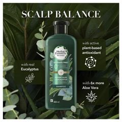 Dầu gội Herbal Essences Bio Renew Potent Aloe & Eucalyptus Strength & Moisture 400ml