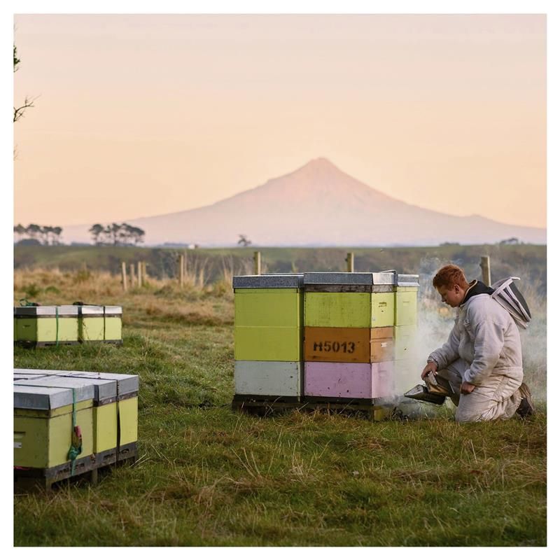 Mật ong Egmont MGO 50+ Multifloral Manuka 500g