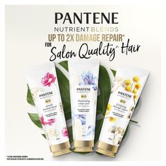 Dầu gội Pantene Nutrient Blends Colour Care 500ml