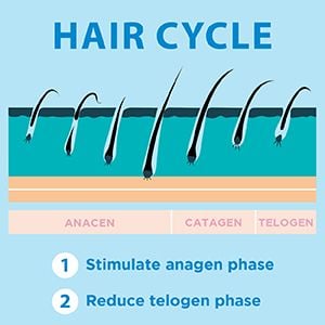 Huyết thanh phục hồi tóc Dermal Therapy 60g