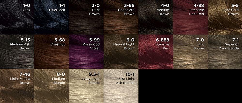 Bảng màu Napro Palette 3.65 Nâu Chocolate