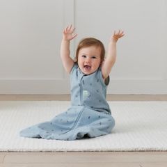 Túi ngủ ergoPouch Jersey Dragonflies 1.0 TOG 2-4 tuổi