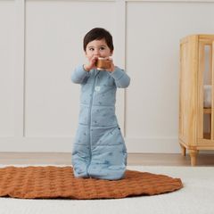 Túi ngủ Jersey ergoPouch tay dài hình chuồn chuồn 3.5 TOG 8-24 tháng