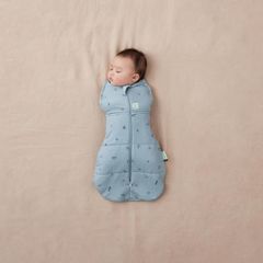 Túi quấn ergoPouch Cocoon hình chuồn chuồn 3,5 TOG 3-6 tháng
