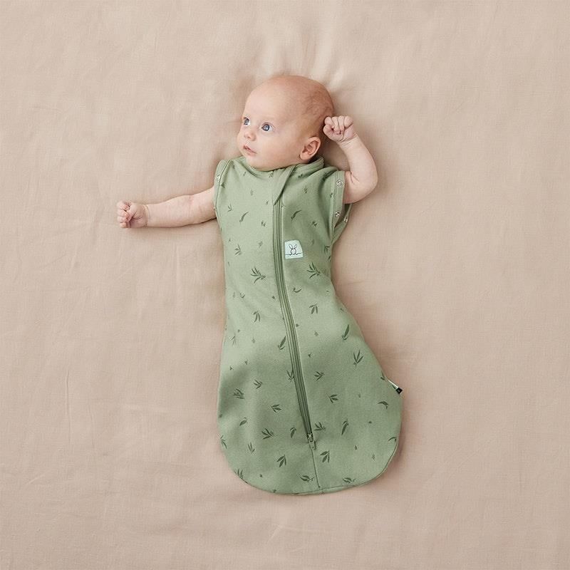 Túi quấn ergoPouch Cocoon Willow 1.0 TOG 3-6 tháng