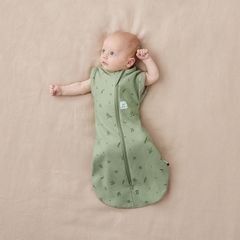 Túi quấn ergoPouch Cocoon Willow 0.2 TOG 3-6 tháng