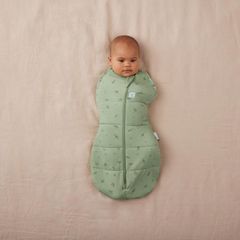 Túi quấn ergoPouch Cocoon Willow 2.5 TOG 0-3 tháng