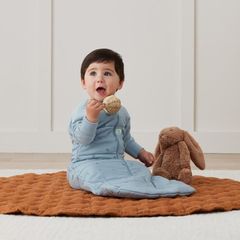 Túi ngủ Jersey ergoPouch tay dài hình chuồn chuồn 2.5 TOG 8-24 tháng