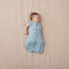 Túi quấn ergoPouch Cocoon hình chuồn chuồn 3.5 TOG 0 tháng