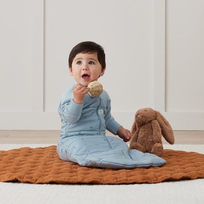 Túi ngủ Jersey ergoPouch tay dài hình chuồn chuồn 3.5 TOG 8-24 tháng