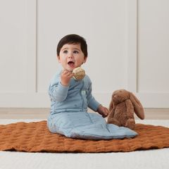 Túi ngủ Jersey ergoPouch tay dài hình chuồn chuồn 3.5 TOG 8-24 tháng