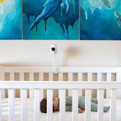 Tweetycam Camera bổ sung