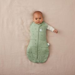 Túi quấn ergoPouch Cocoon Willow 2.5 TOG 0-3 tháng