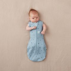 Túi quấn ergoPouch Cocoon hình chuồn chuồn 1.0 TOG 3-6 tháng