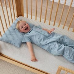 Túi ngủ ergoPouch Dragonflies 0.2 TOG 2-4 tuổi