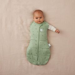 Túi quấn ergoPouch Cocoon Willow 1.0 TOG 3-6 tháng