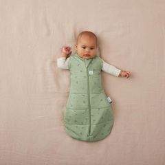 Túi quấn ergoPouch Cocoon Willow 2.5 TOG 0-3 tháng