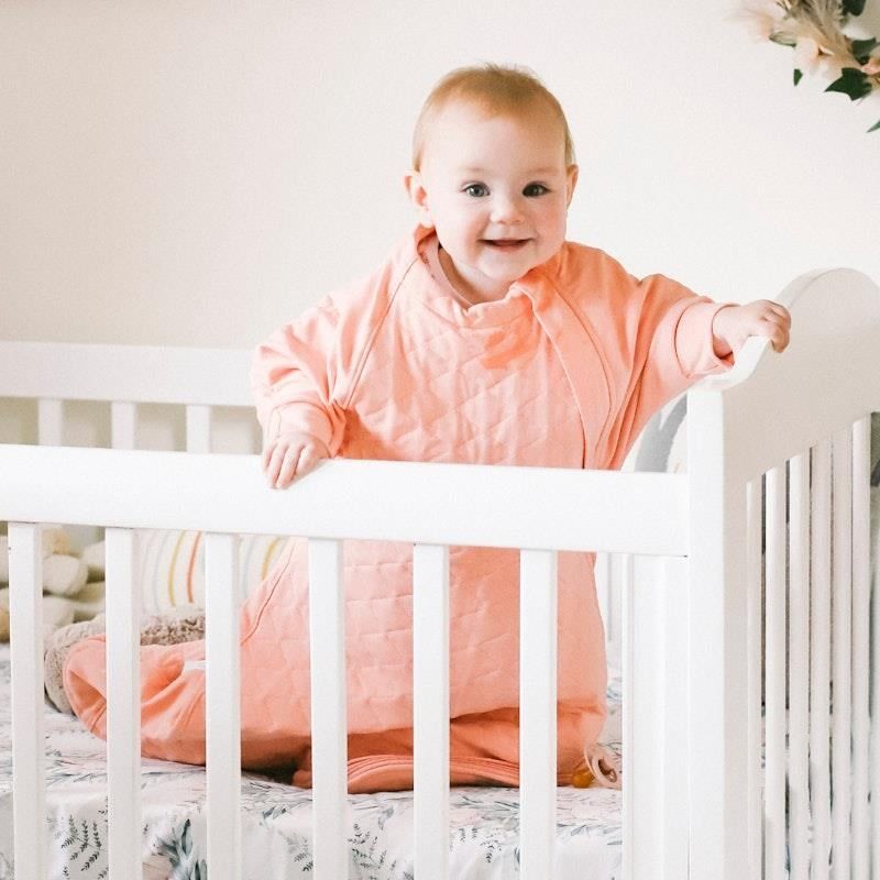 Baby Loves Sleep - 2.5 TOG Mùa đông - Ấm áp khi đưa tay vào và đưa ra - Hồng đào 12+M