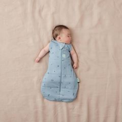 Túi quấn ergoPouch Cocoon hình chuồn chuồn 3.5 TOG 0 tháng