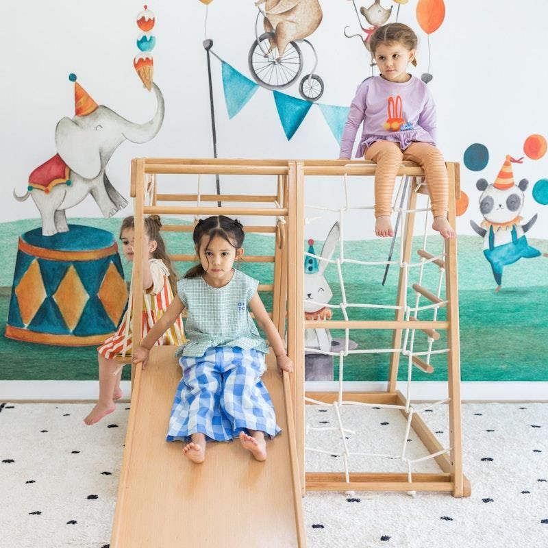 Nhà hát Riababy Kangaroo Beechwood