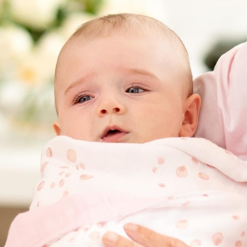 Chăn trẻ em vải muslin tre nhỏ - Hồng bụi Hồng bụi