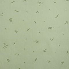 Túi quấn ergoPouch Cocoon Willow 0.2 TOG 0-3 tháng