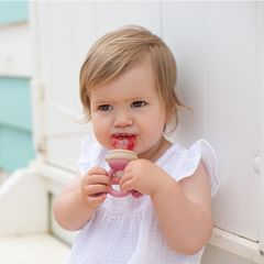 Cherub Baby Silicone Fresh Food Feeder - Dusty Rose & Sand 1 cái