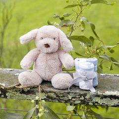 Đồ chơi nhồi bông & máy giặt của Little Linen Company Barklife Dog