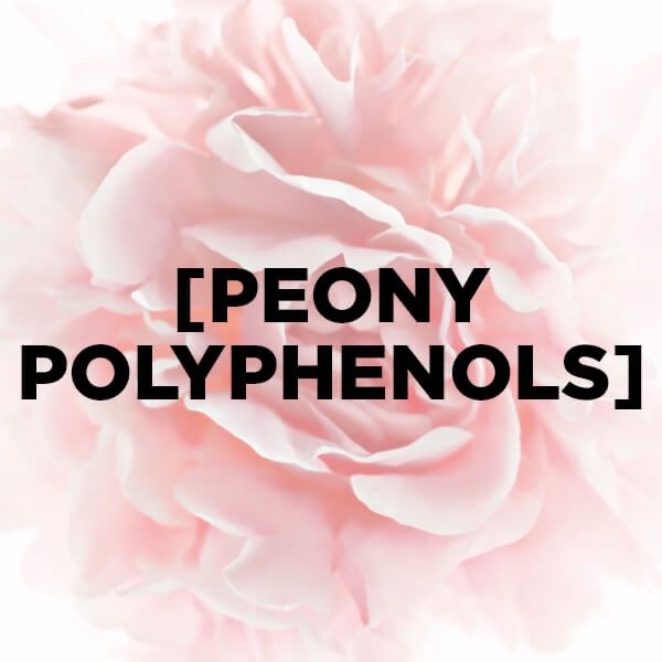 Kem dưỡng da ban đêm phục hồi lão hóa L'Oreal Paris Golden Age 50ml