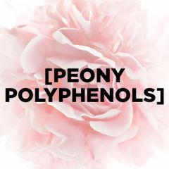 Kem dưỡng da ban đêm phục hồi lão hóa L'Oreal Paris Golden Age 50ml